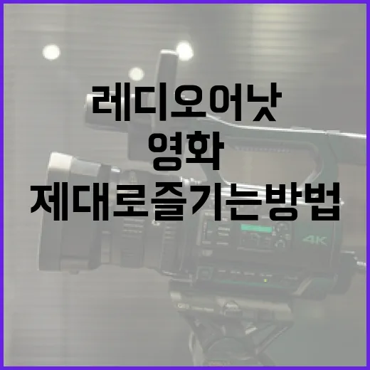 영화 '레디 오어 낫' 제대로 즐기는 방법 - 요약
