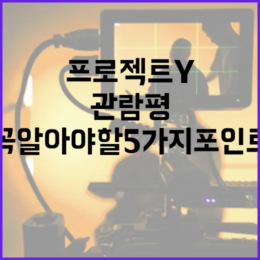 프로젝트 Y 관람평: 꼭 알아야 할 5가지 포인트 - 요약