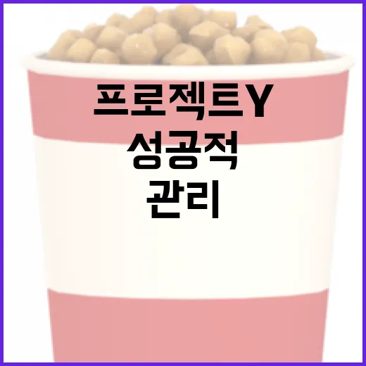 프로젝트Y를 성공적으로 관리하는 방법 - 요약