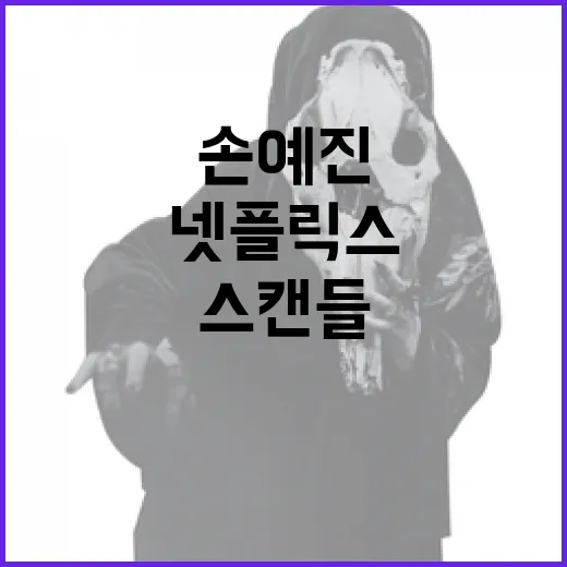 손예진 넷플릭스 스캔들 출연작을 즐기는 방법 - 요약