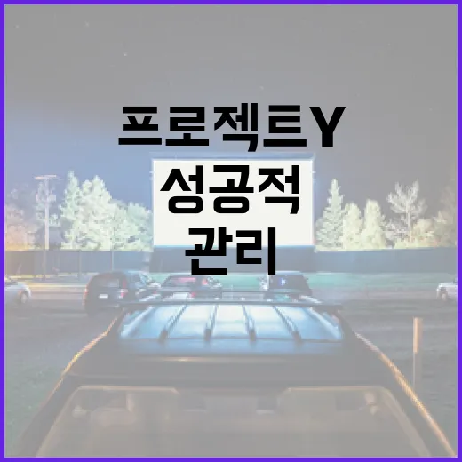 프로젝트Y를 성공적으로 관리하는 방법 - 요약