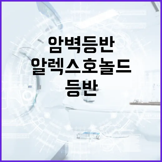 알렉스 호놀드처럼 암벽 등반을 시작하는 방법 - 요약