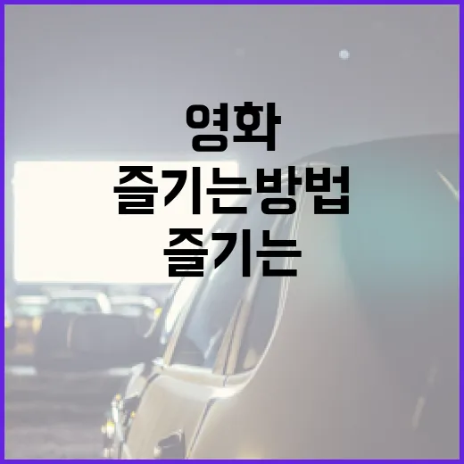 얼굴 영화를 즐기는 방법 - 요약