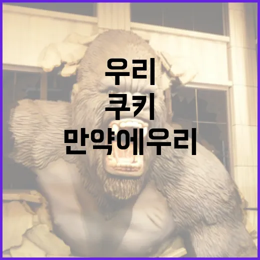 만약에 우리 쿠키를 건강하게 만들려면 이렇게! - 요약