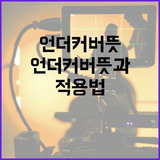 언더커버 뜻과 활용 방법: 다양한 상황에서의 적용법 - 요약