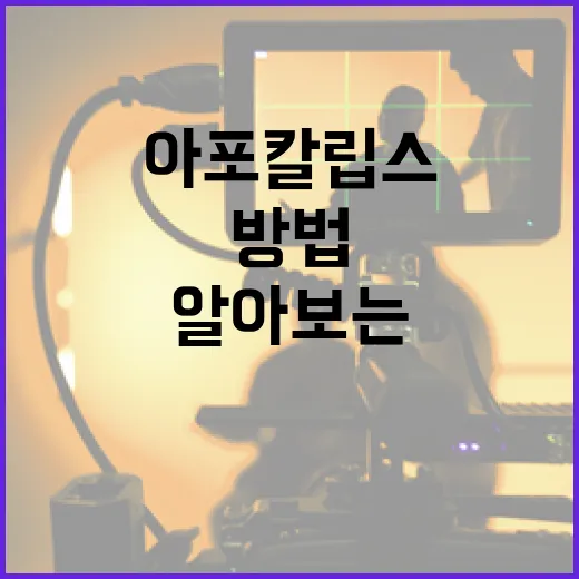 아포칼립토에 대해 알아보는 방법 - 요약