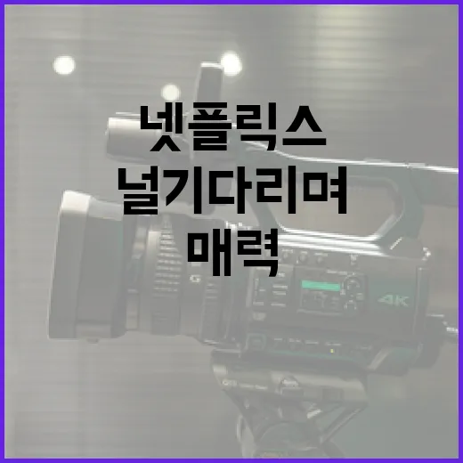 널 기다리며: 김성오의 매력을 넷플릭스에서 발견하는 방법 - 요약