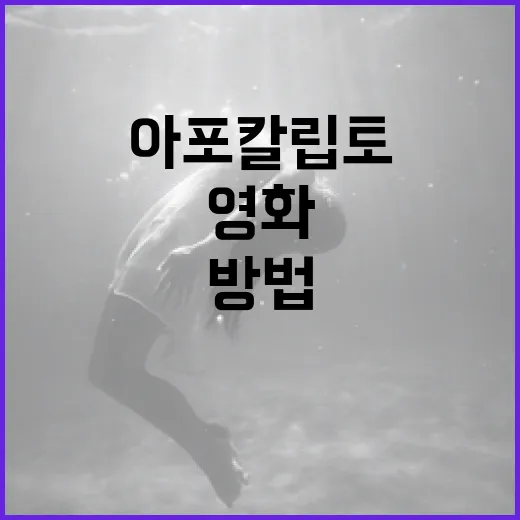 영화 '아포칼립토'를 깊이 이해하는 방법 - 요약