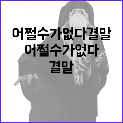 어쩔 수가 없다 결말을 이해하는 방법 - 요약