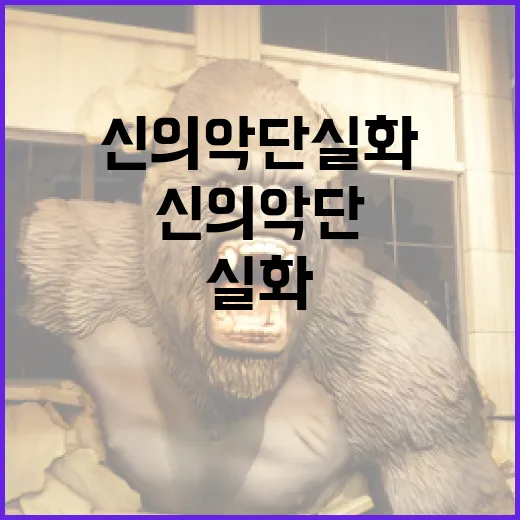 신의악단 실화 알아보기: 그들의 이야기를 통해 배우는 교훈 - 요약