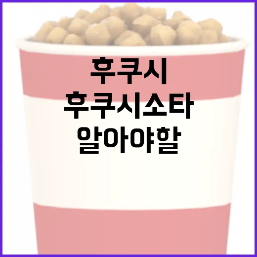 후쿠시 소타에 대해 알아야 할 모든 것 - 요약