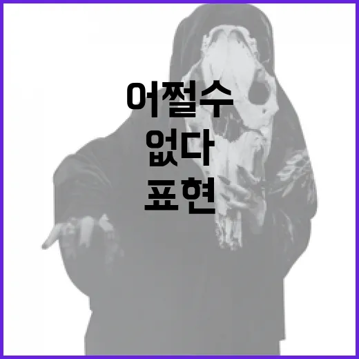 어쩔 수가 없다: 이 표현을 이해하고 활용하는 방법 - 요약