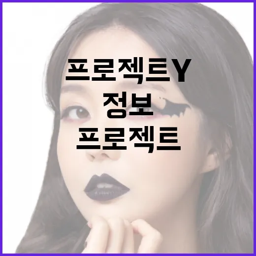 프로젝트 Y 정보를 효과적으로 이해하는 방법 - 요약