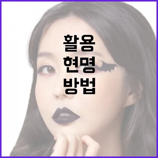 어쩔 수 없을 때 정보를 현명하게 활용하는 방법 - 요약