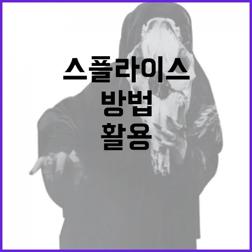 스플라이스를 이해하고 활용하는 방법 - 요약
