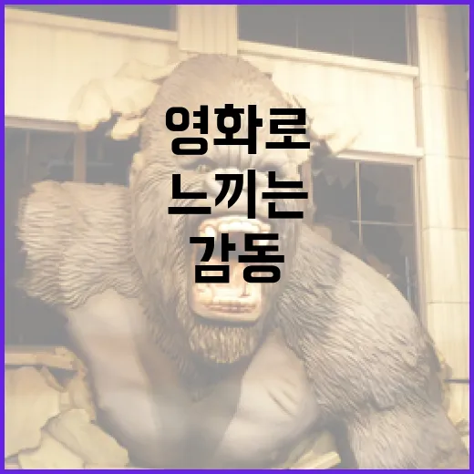 얼굴 영화로 감동을 느끼는 방법 - 요약