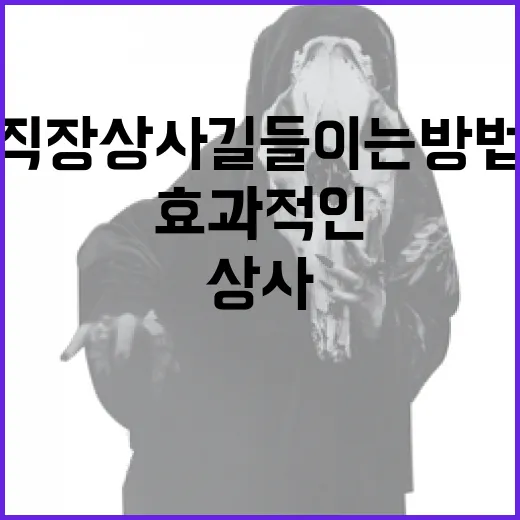 직장상사 길들이는 방법: 효과적인 커뮤니케이션 전략 - 요약