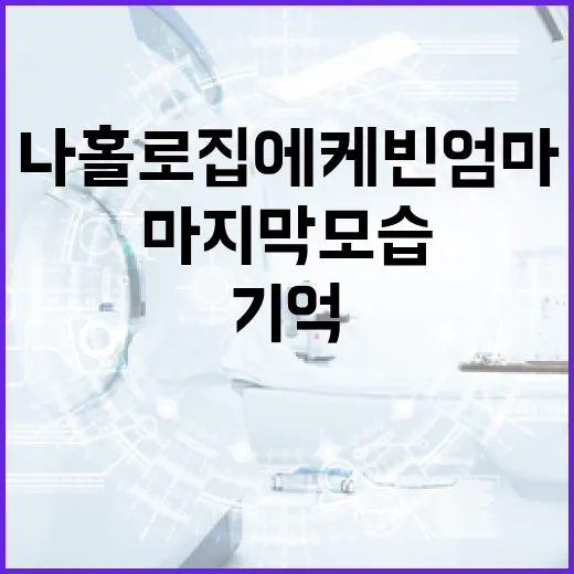 나홀로 집에 케빈 …