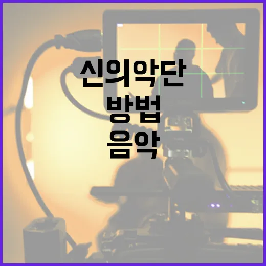 신의악단을 알아보는 방법: 음악과 역사 탐구 - 요약