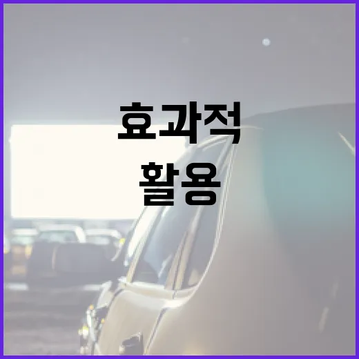 더 립 정보를 효과적으로 활용하는 방법 - 요약