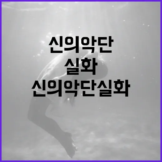 신의악단 실화 알아보기: 음악과 역사가 만나는 순간 - 요약