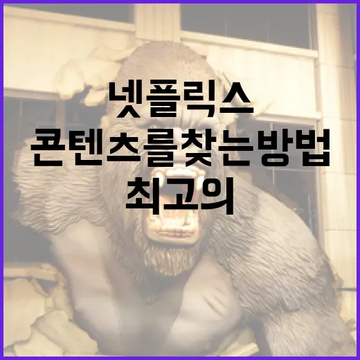 최고의 넷플릭스 콘텐츠를 찾는 방법 - 요약