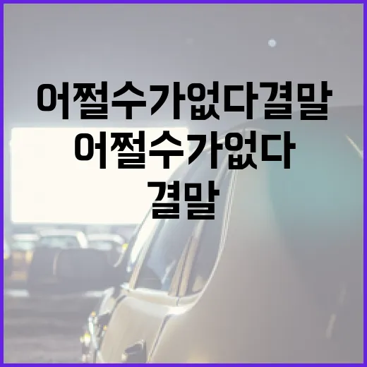 어쩔 수가 없다 결…