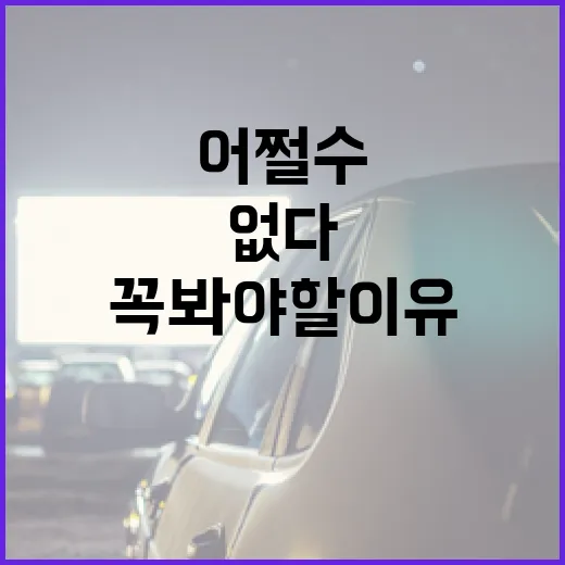 부고니아를 건강하게 키우는 방법 - 요약