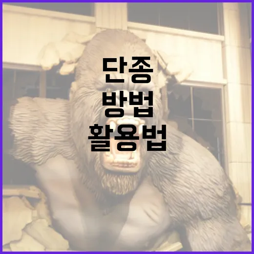 단종 제품을 찾는 방법과 활용법 - 요약