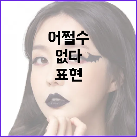 ‘어쩔 수가 없다’라는 표현을 이해하고 활용하는 방법 - 요약