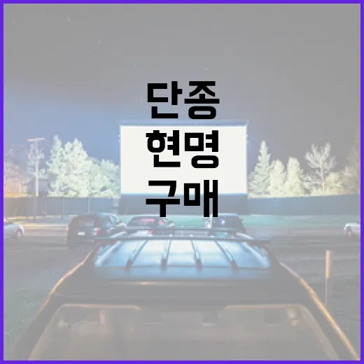 단종 제품을 현명하게 구매하는 방법 - 요약