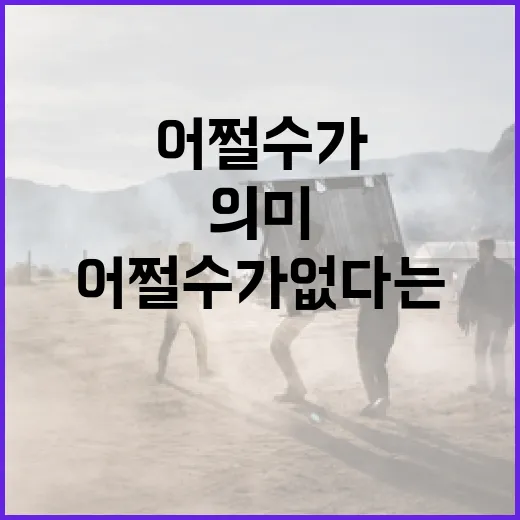 어쩔 수가 없다는 의미를 이해하는 방법 - 요약