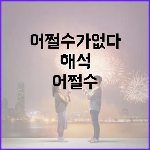 ‘어쩔 수가 없다’ 해석하는 방법: 상황을 긍정적으로 바라보는 법 - 요약