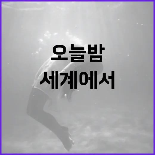 오늘밤 이세계에서 모험을 시작하는 방법 - 요약