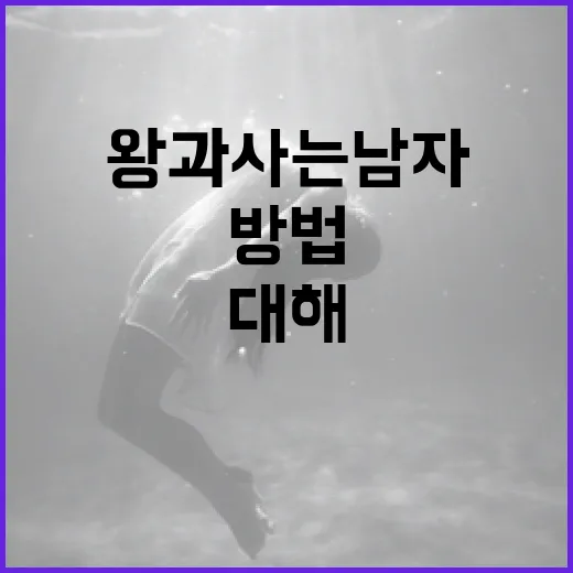 왕과 사는 남자에 대해 알아보는 방법 - 요약