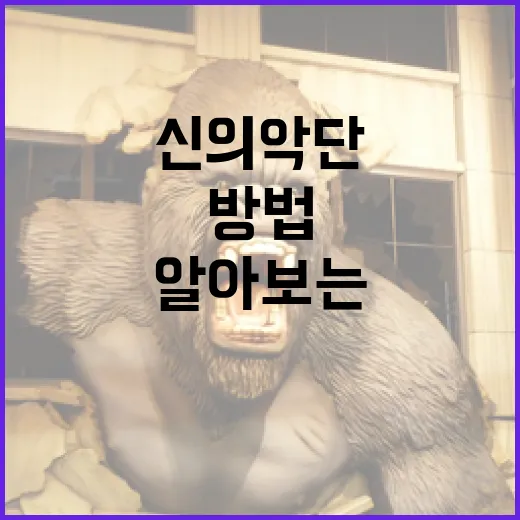 신의악단에 대해 알아보는 방법 - 요약