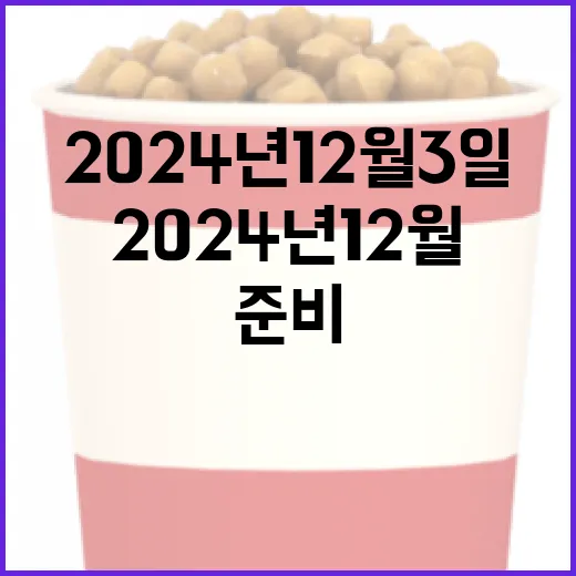 2024년 12월 3일, 그날을 준비하는 방법 - 요약