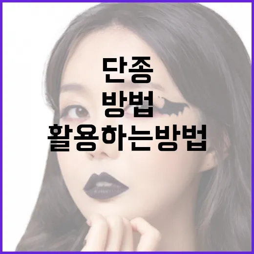 단종된 제품을 활용하는 방법 - 요약