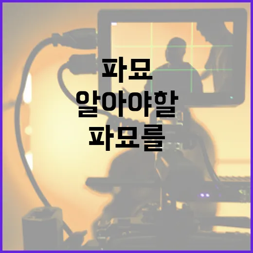 파묘를 고려할 때 알아야 할 필수 정보 - 요약