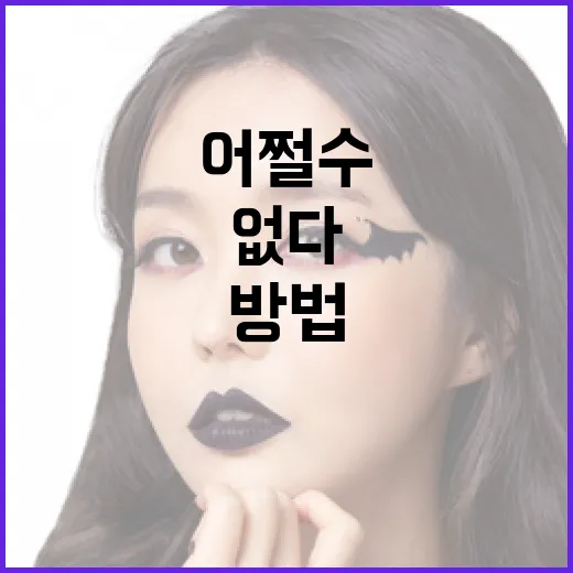 ‘어쩔 수 없다’는 표현을 제대로 이해하는 방법 - 요약