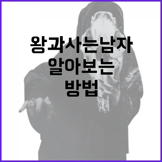 왕과사는남자에 대해 알아보는 방법 - 요약