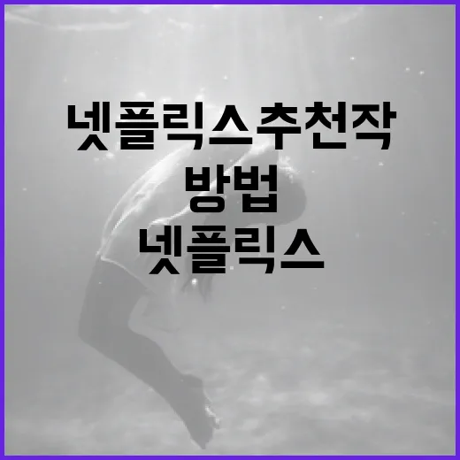 넷플릭스 추천작을 찾는 방법 - 요약