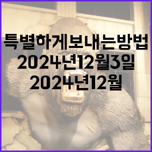 2024년 12월 3일을 특별하게 보내는 방법 - 요약