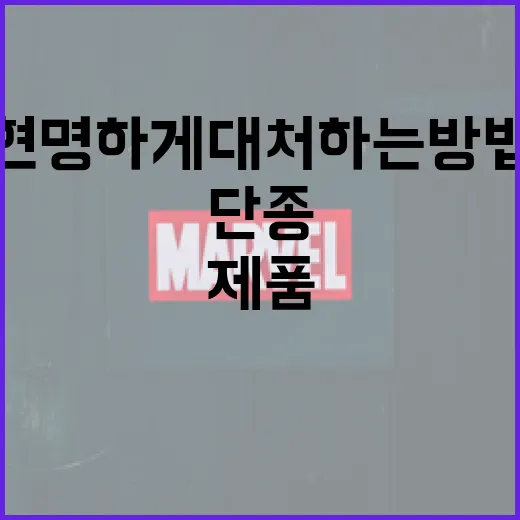 단종된 제품을 현명하게 대처하는 방법 - 요약