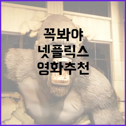 넷플릭스에서 꼭 봐야 할 영화 추천 방법 - 요약