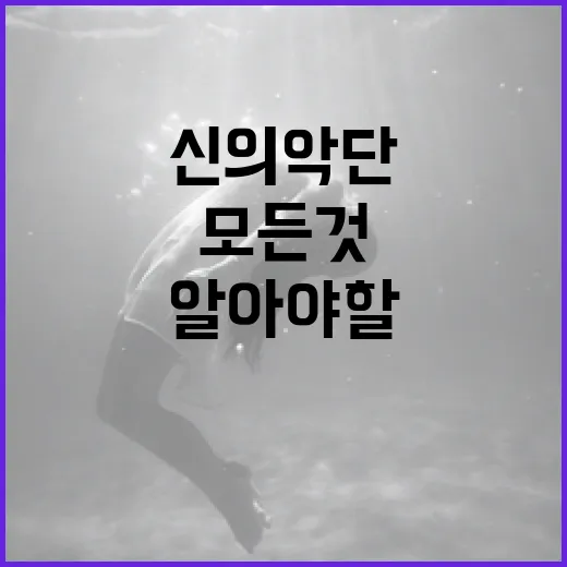 신의악단에 대해 알아야 할 모든 것 - 요약