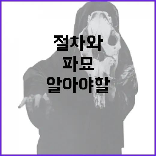 파묘할 때 알아야 할 모든 것: 절차와 주의사항 - 요약