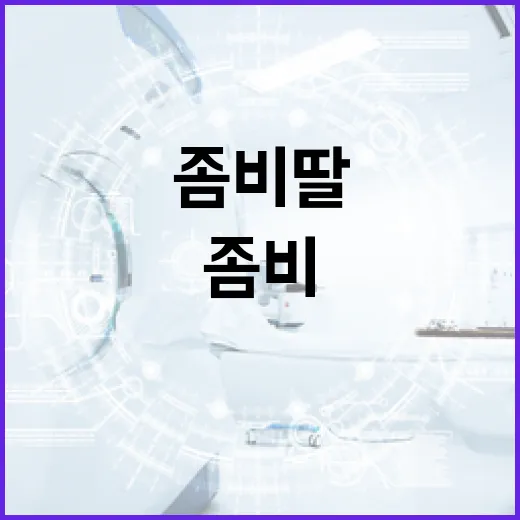 조이건을 효과적으로 사용하는 방법 - 요약