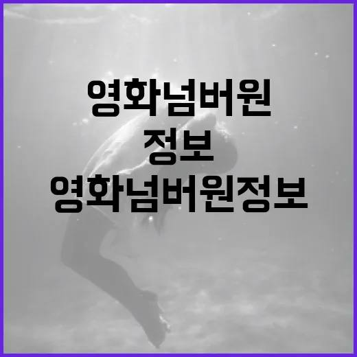 영화 넘버원 정보를 얻는 방법 - 요약