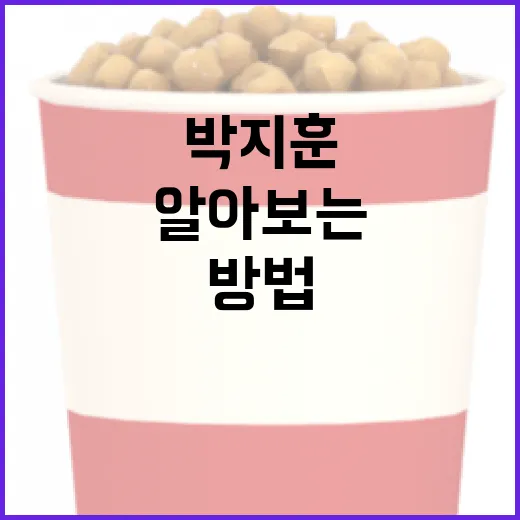 박지훈을 깊게 알아보는 방법 - 요약